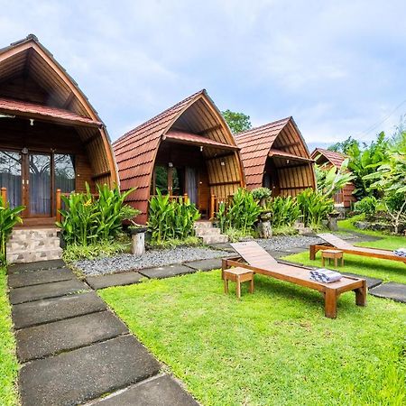 Kintamani Paradise Villa Luaran gambar