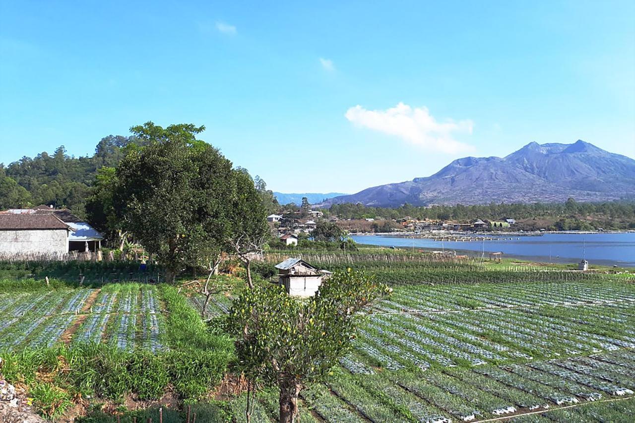 Kintamani Paradise Villa Luaran gambar